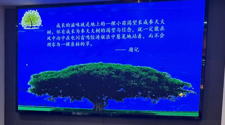图片13.png